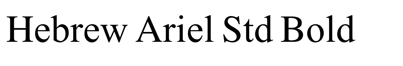 Hebrew Ariel Std Bold
